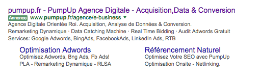 Agence optimisation extensionsadwords 