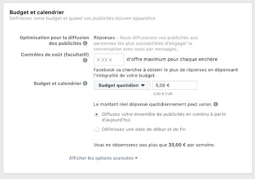 Budget et calendrier Facebook Ads