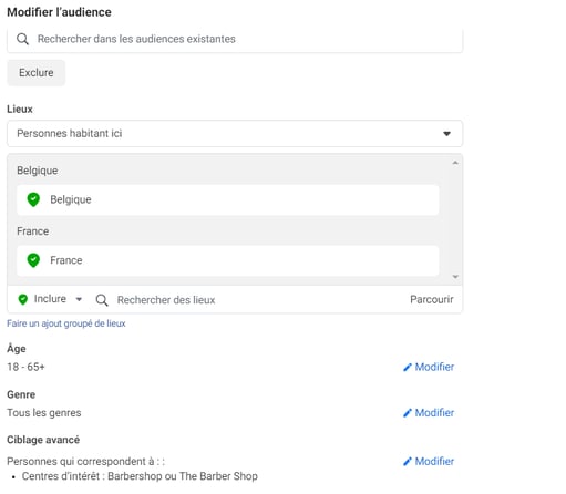 audience parametree pour une campagne facebook ads