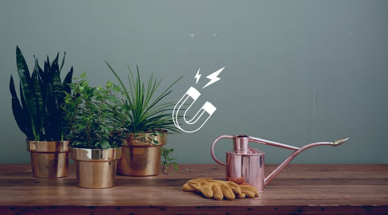 lead-nurturing-et-marketing-automation