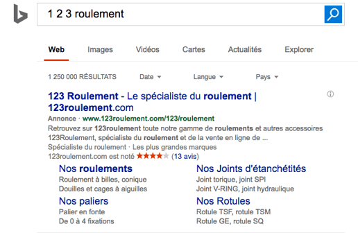 Polydis annonces adwords sur Bing