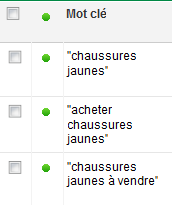 Les mots-clés définis pour le groupe dannonces Chaussures jaunes