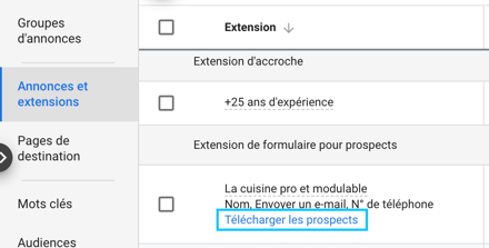 téléchargement-leads-google-ads